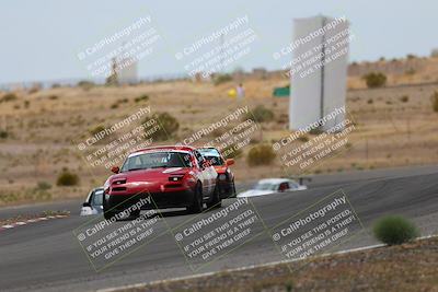 media/May-03-2025-Lucky Dog Racing (Sat) [[206de64b9d]]/Turn 6 (150pm-230pm)/